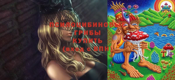экстази Арсеньев