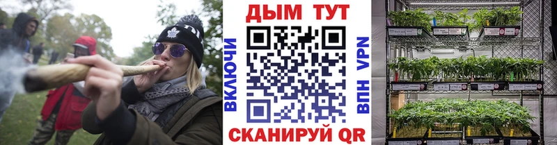 наркошоп  Туринск  Каннабис VHQ 
